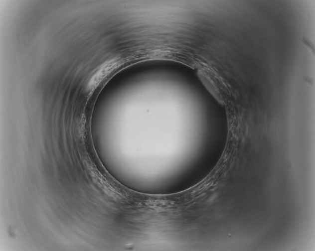 X0000102800242200808181207
