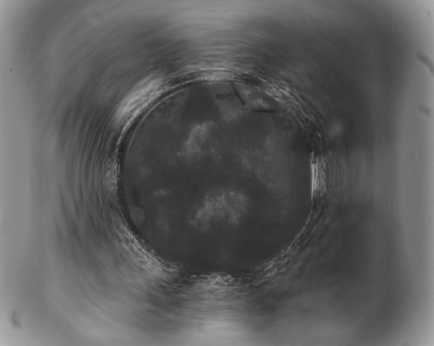 X0000102800243200808181207