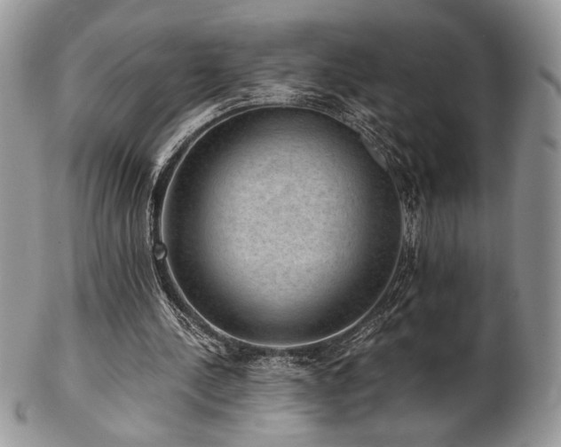 X0000102800244200808181207