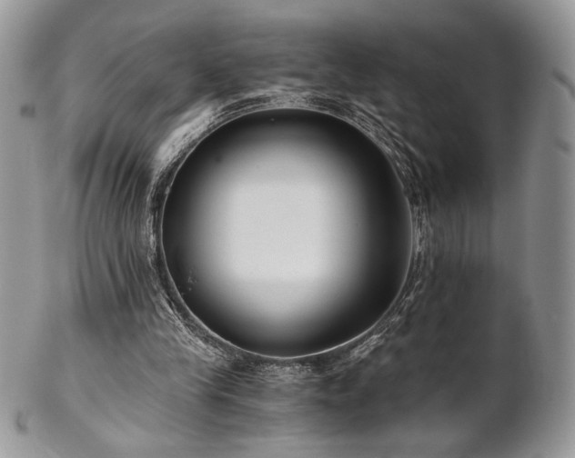X0000102800245200808181207