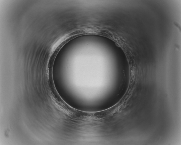 X0000102800246200808181207
