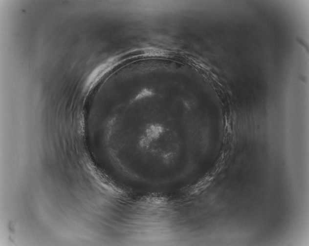 X0000102800247200808181207