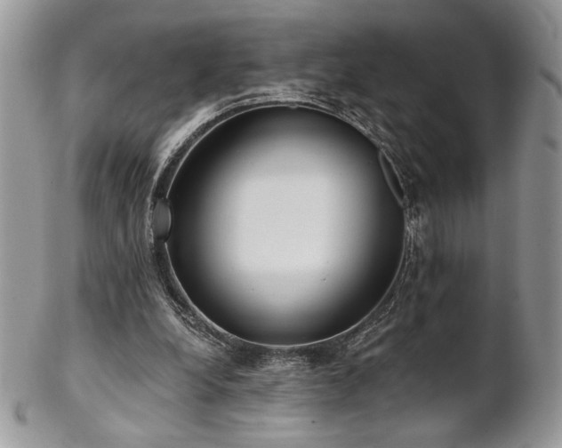 X0000102800248200808181207