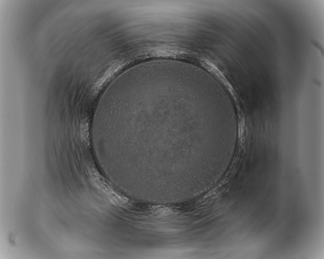 X0000102800249200808181207