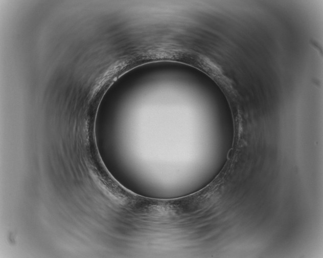 X0000102800250200808181207