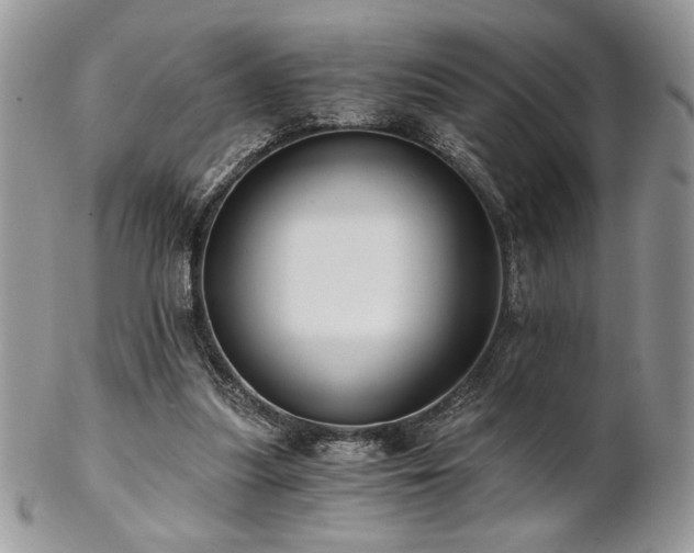 X0000102800251200808181207