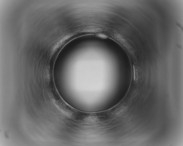 X0000102800252200808181207