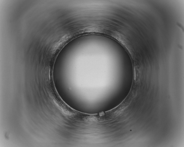 X0000102800253200808181207