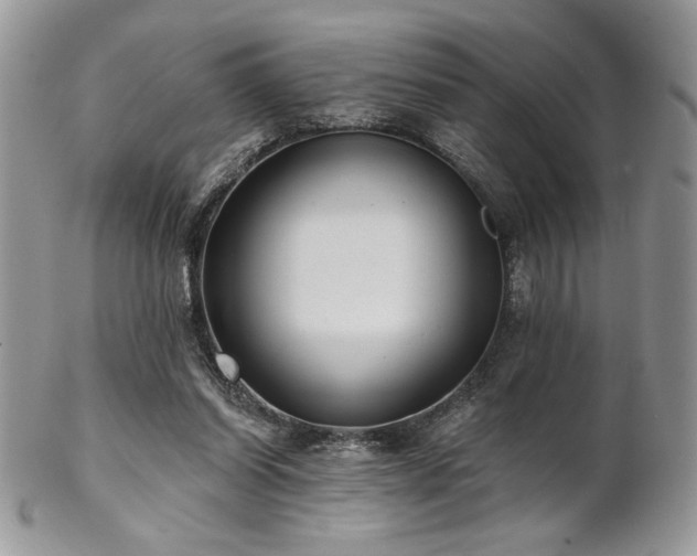 X0000102800254200808181207