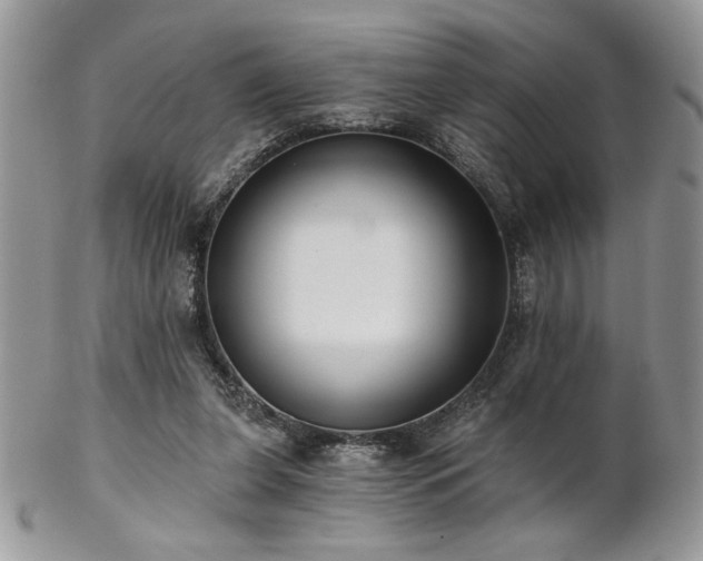 X0000102800255200808181207