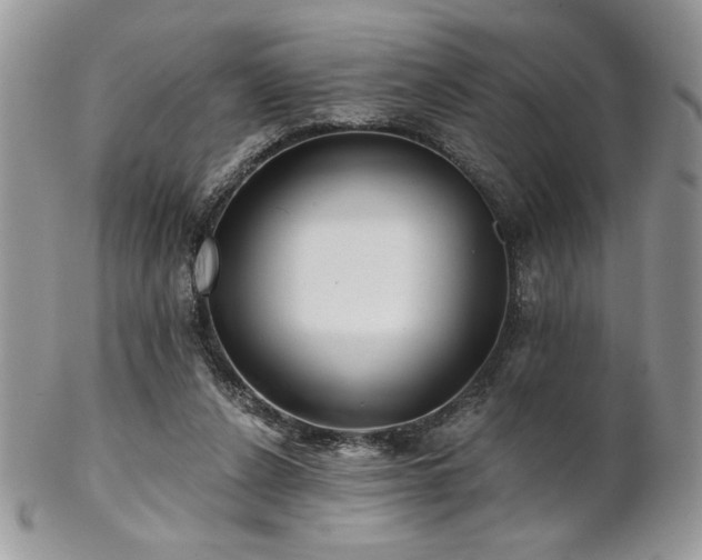 X0000102800256200808181207