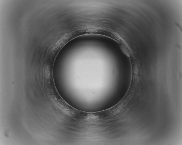 X0000102800257200808181207