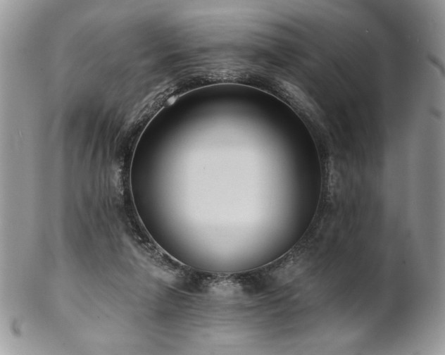X0000102800258200808181207