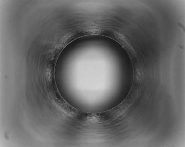 X0000102800259200808181207