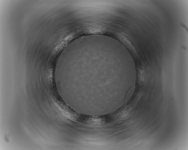 X0000102800260200808181207