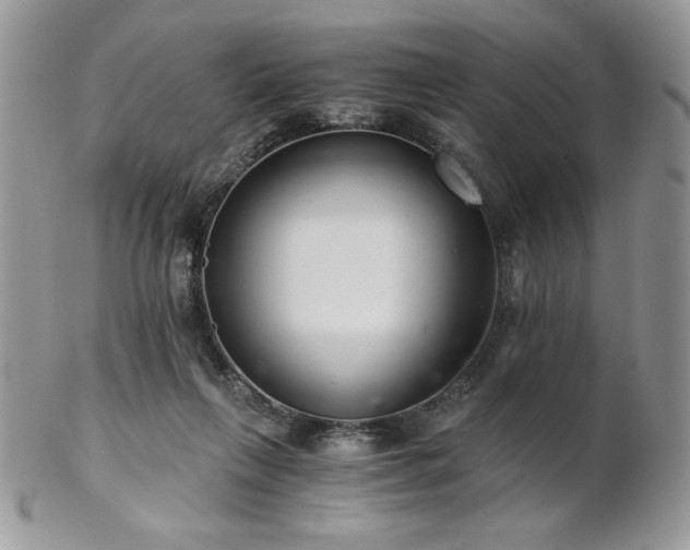 X0000102800263200808181207