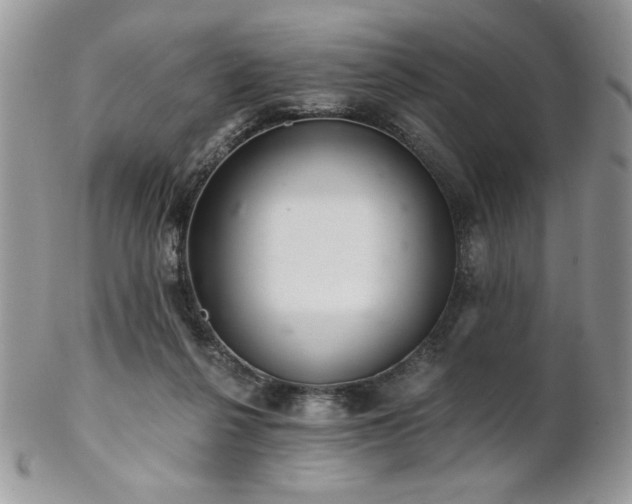 X0000102800264200808181207