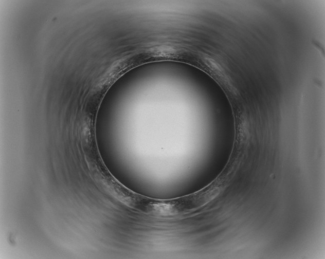 X0000102800265200808181207