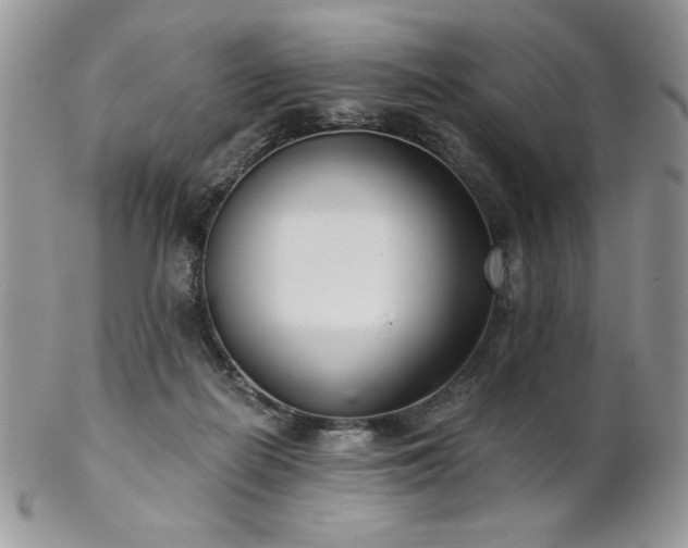 X0000102800266200808181207