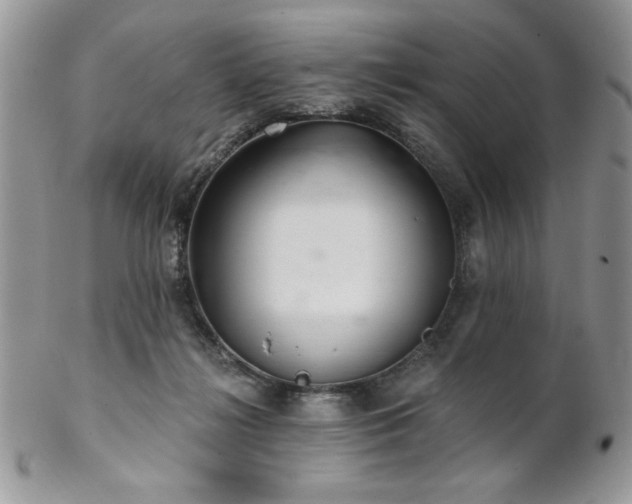 X0000102800268200808181207