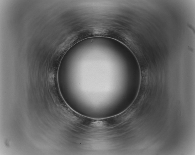 X0000102800269200808181207
