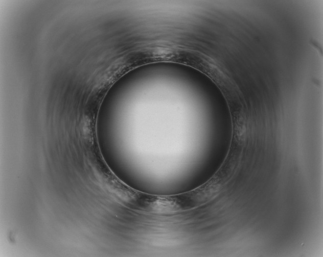 X0000102800270200808181207