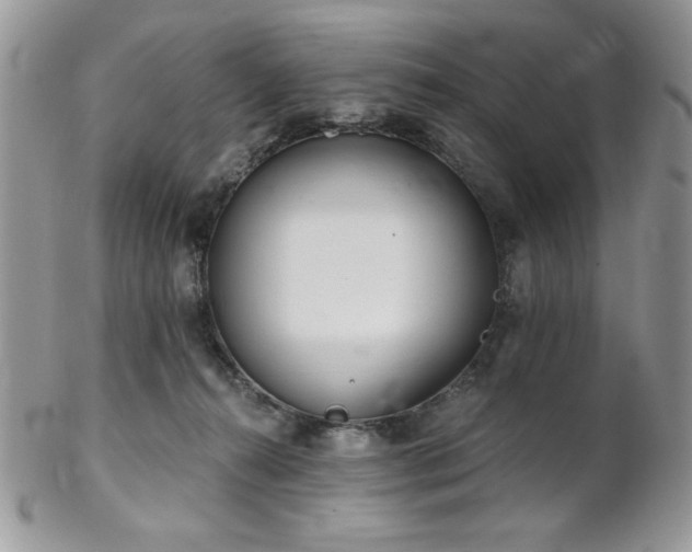 X0000102800272200808181207