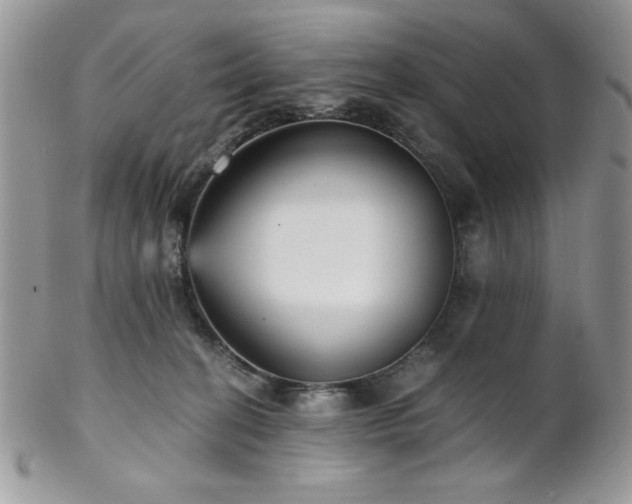 X0000102800274200808181207