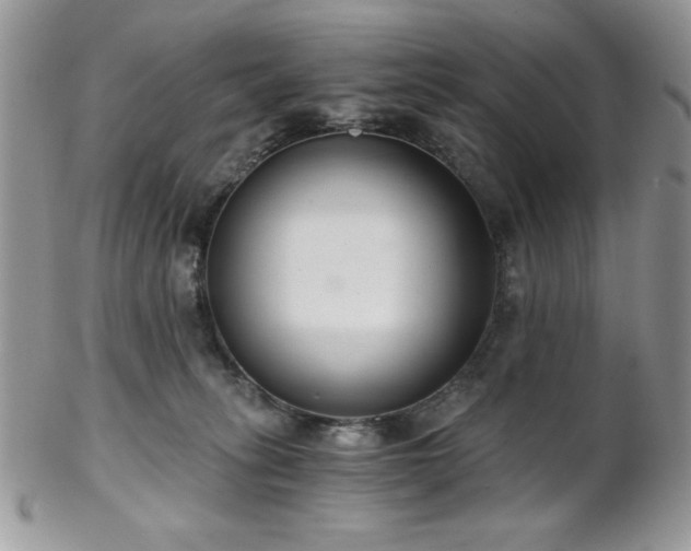 X0000102800275200808181207