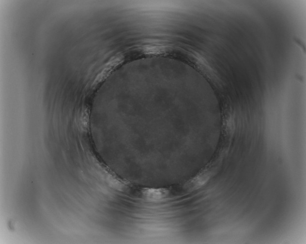 X0000102800277200808181207