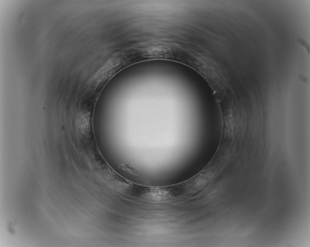 X0000102800278200808181207