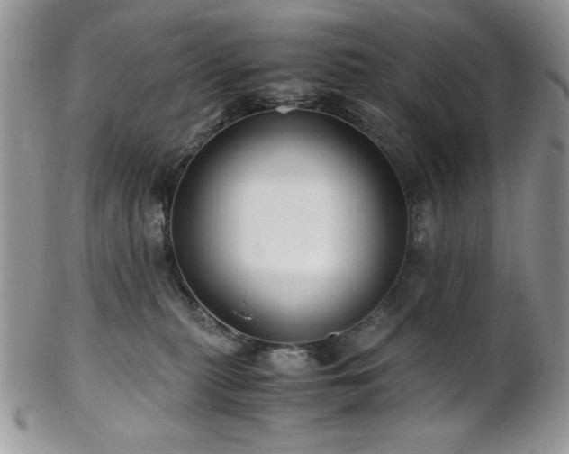 X0000102800279200808181207