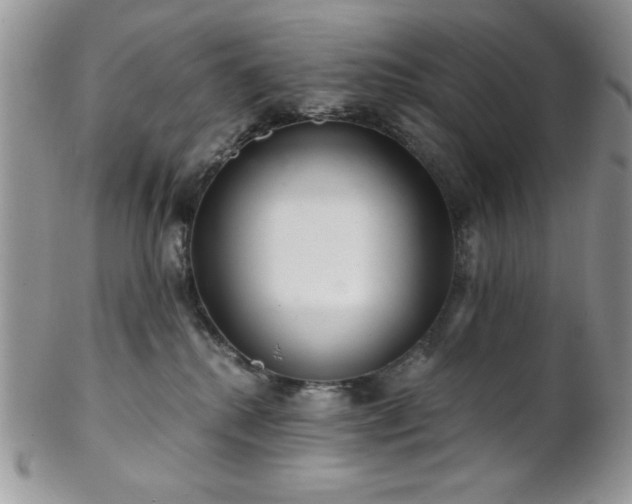 X0000102800280200808181207