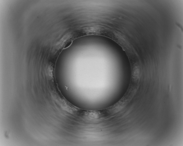X0000102800282200808181207