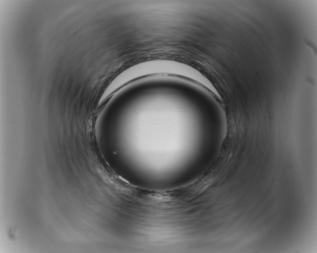 X0000102800284200808181207