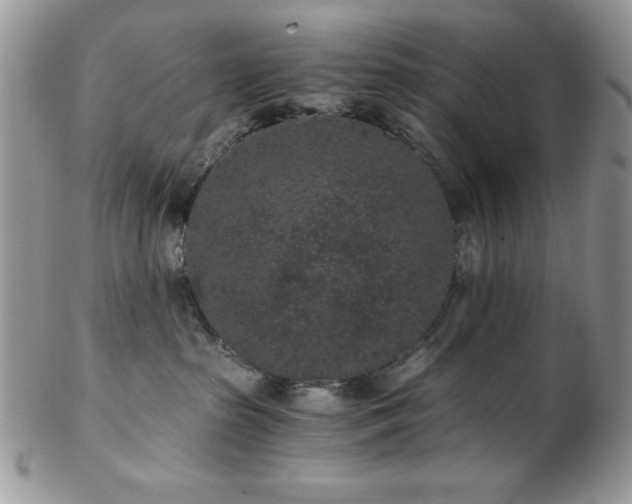 X0000102800285200808181207