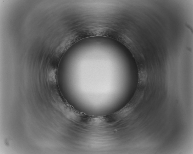 X0000102800286200808181207