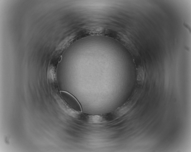X0000102800287200808181207
