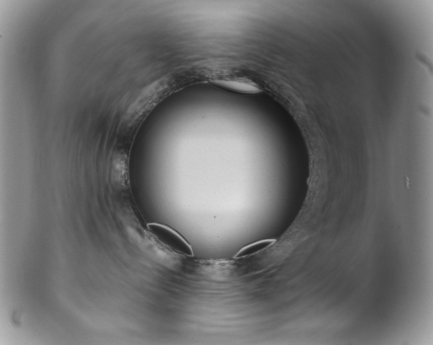 X0000102800288200808181207