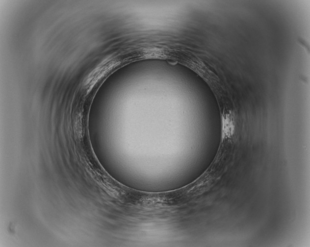 X0000102800291200808181207