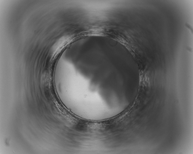 X0000102800293200808181207