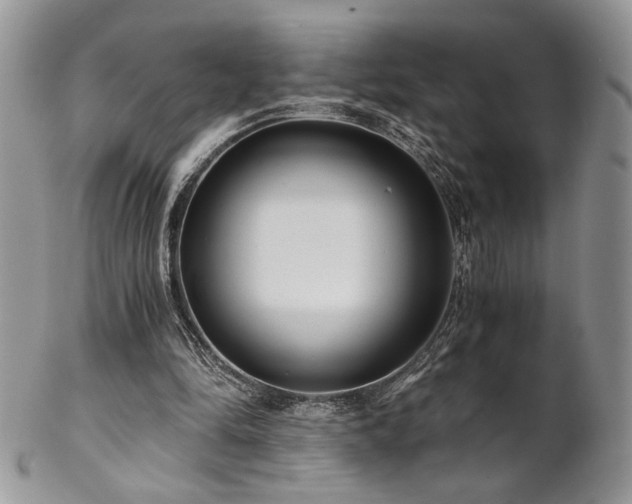 X0000102800294200808181207