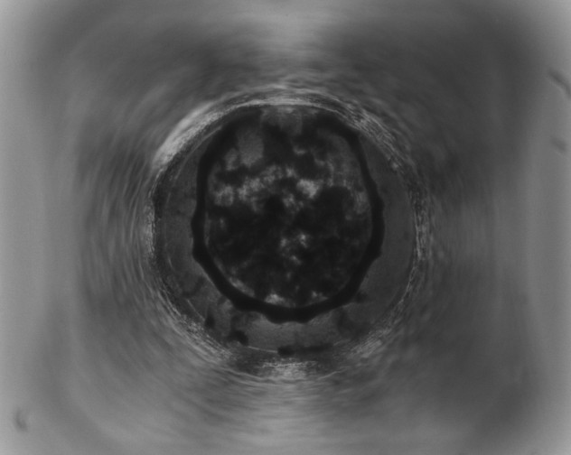 X0000102800295200808181207
