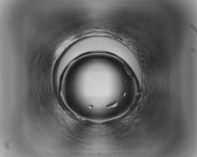 X0000102800296200808181207