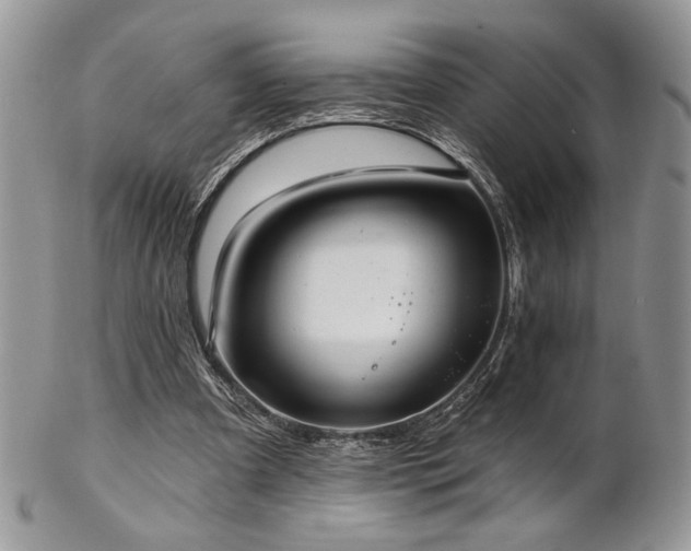 X0000102800297200808181207