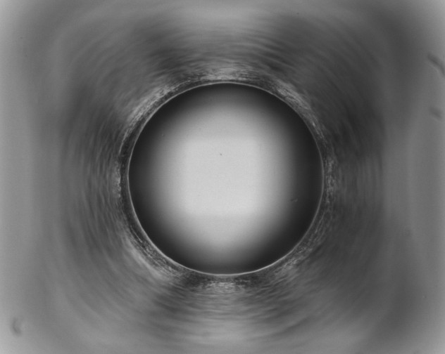 X0000102800298200808181207