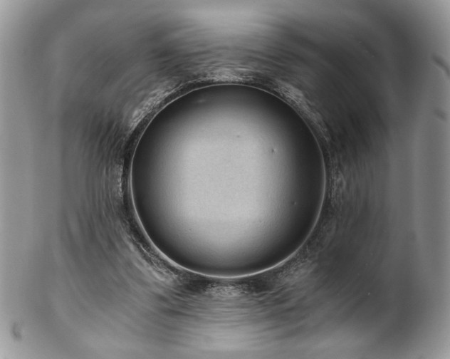 X0000102800299200808181207