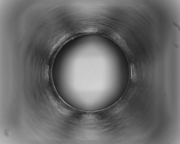 X0000102800300200808181207