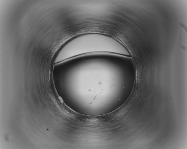 X0000102800301200808181206