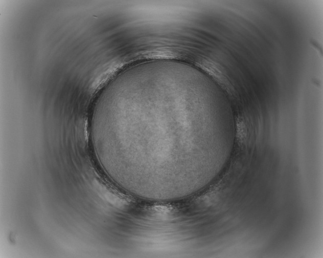 X0000102800302200808181206